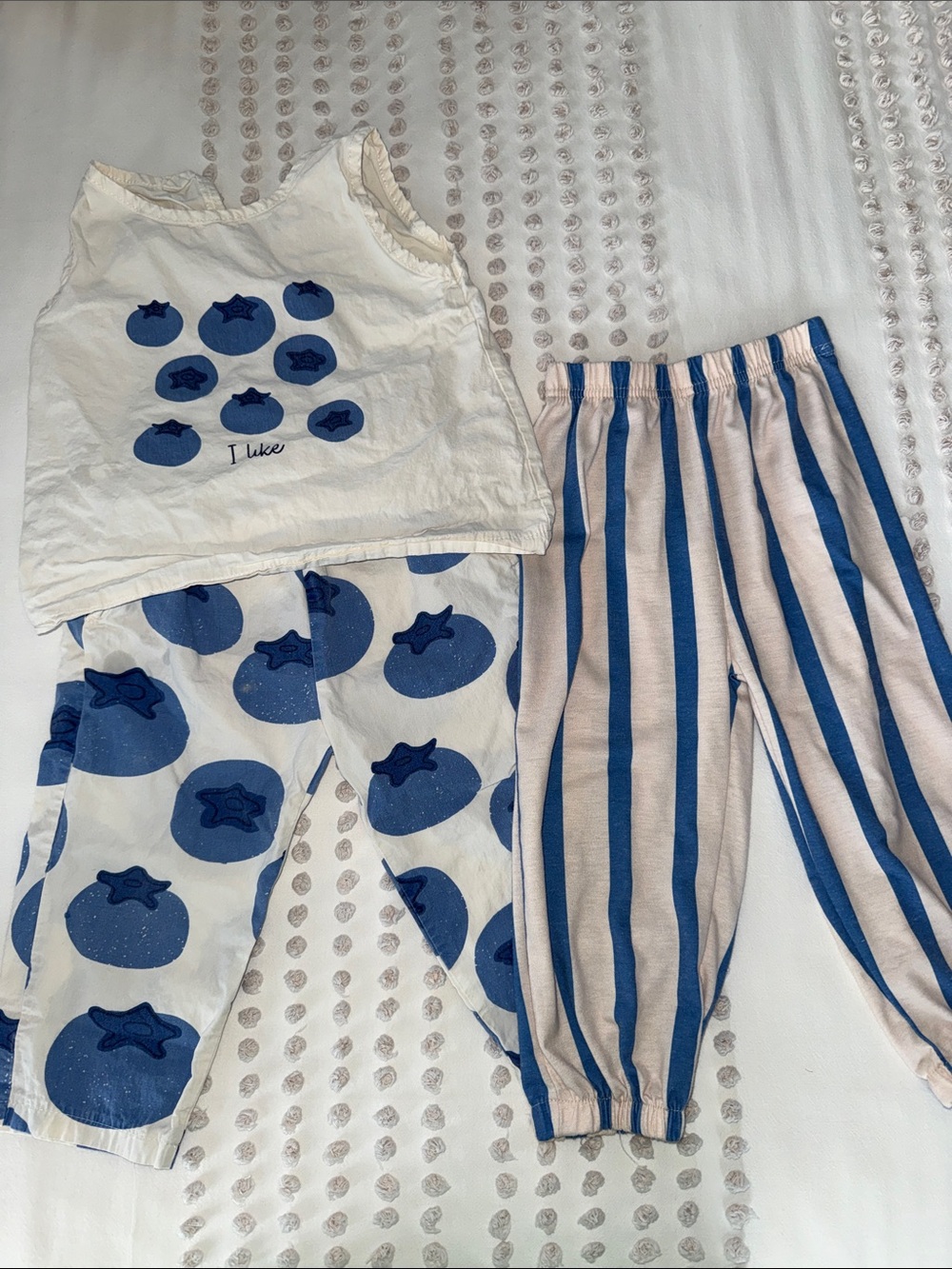 SIZE 2-3 Unisex Blueberry Set for Kids